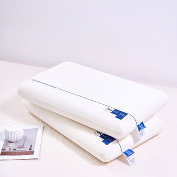 Memory Foam Pillow